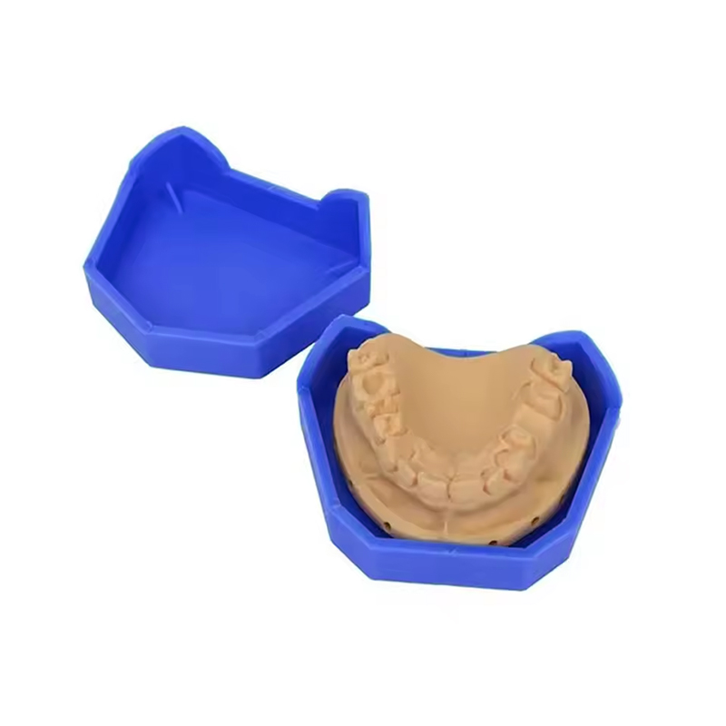 2/6 pçs modelo dental base de  - Model Kit Tool Set avaliação e preço