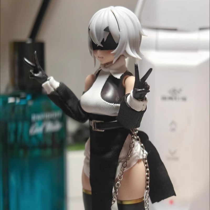 1/12 escala colorida fora do o - Model Kit Girl avaliação e preço