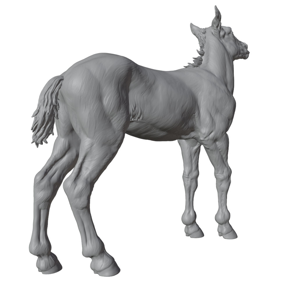 Estátua de Cavalo em Resina co - Model Kit Horse avaliação e preço