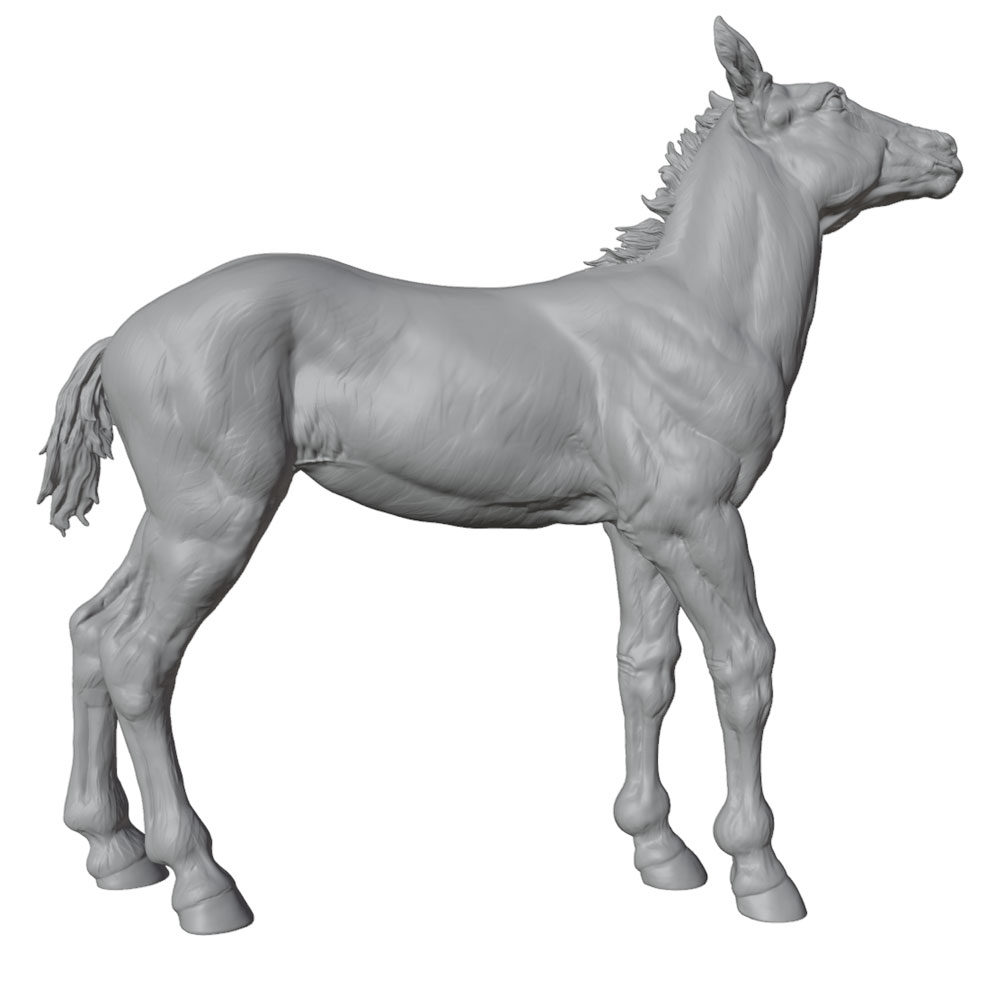 Estátua de Cavalo em Resina co - Model Kit Horse avaliação e preço