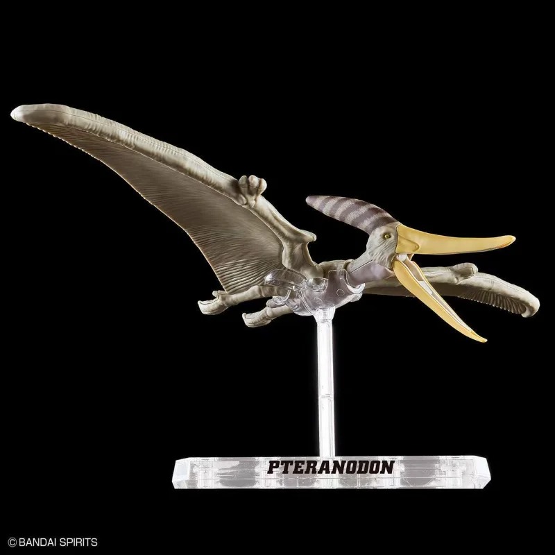 BANDAI PLANNOSAURUS Pteranodon - Model Kit Dinosaur Bandai avaliação e preço